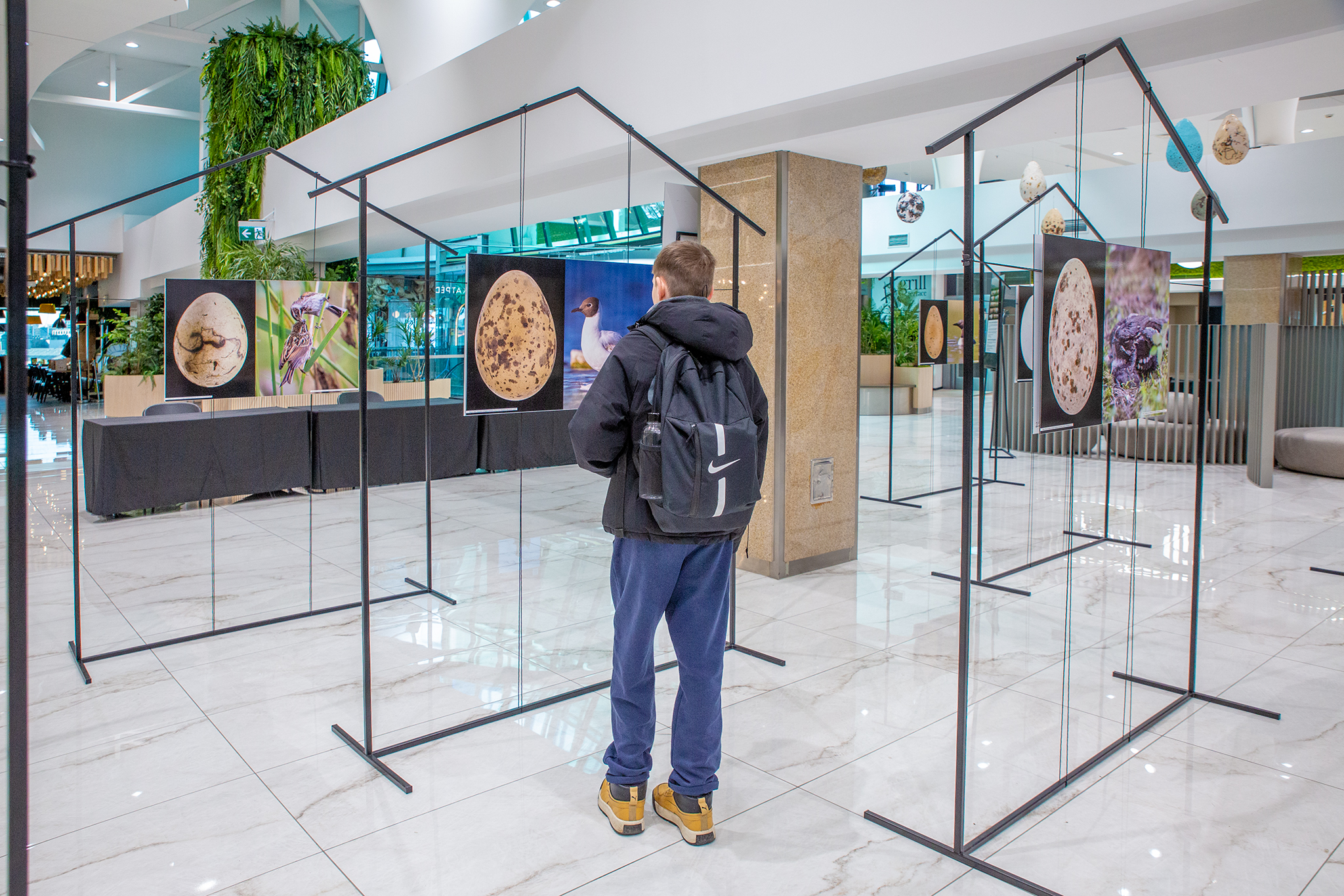 CUP_pauksciu kiausiniu paroda_202603_4