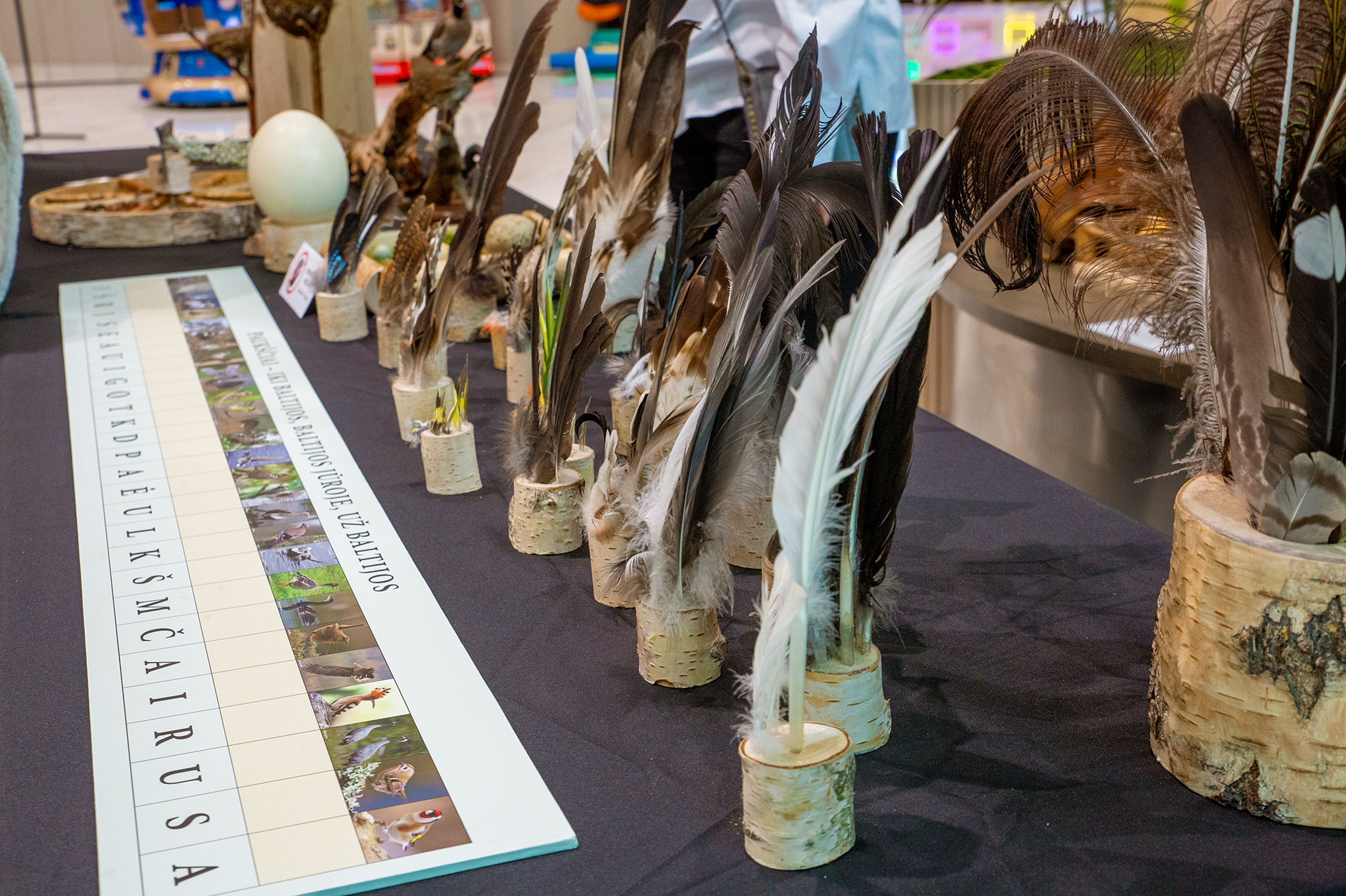 CUP_pauksciu kiausiniu paroda_202603_5