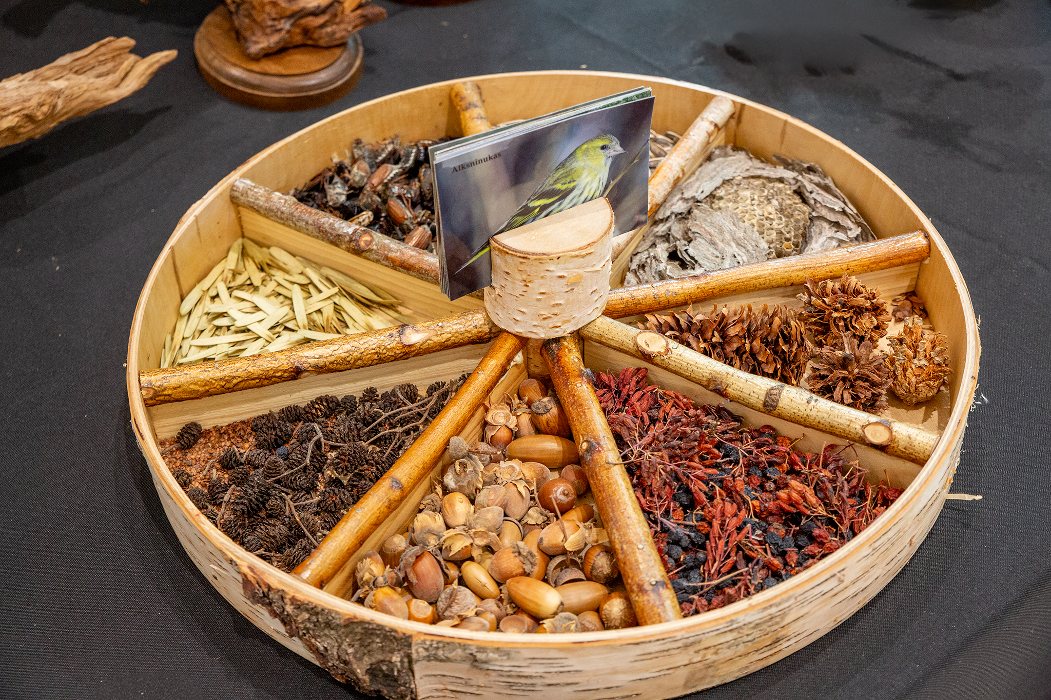 CUP_pauksciu kiausiniu paroda_202603_6