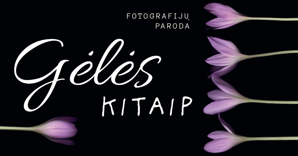 Klubo „Fotokablys“ fotografijų paroda „Gėlės kitaip“