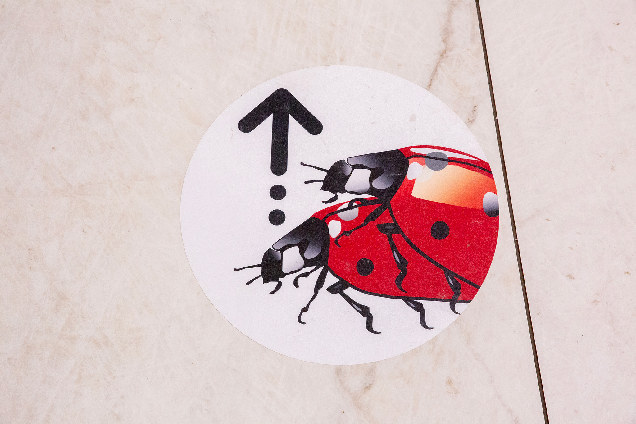 CUP_Fantazijos_lt_atidarymas_20260213_2