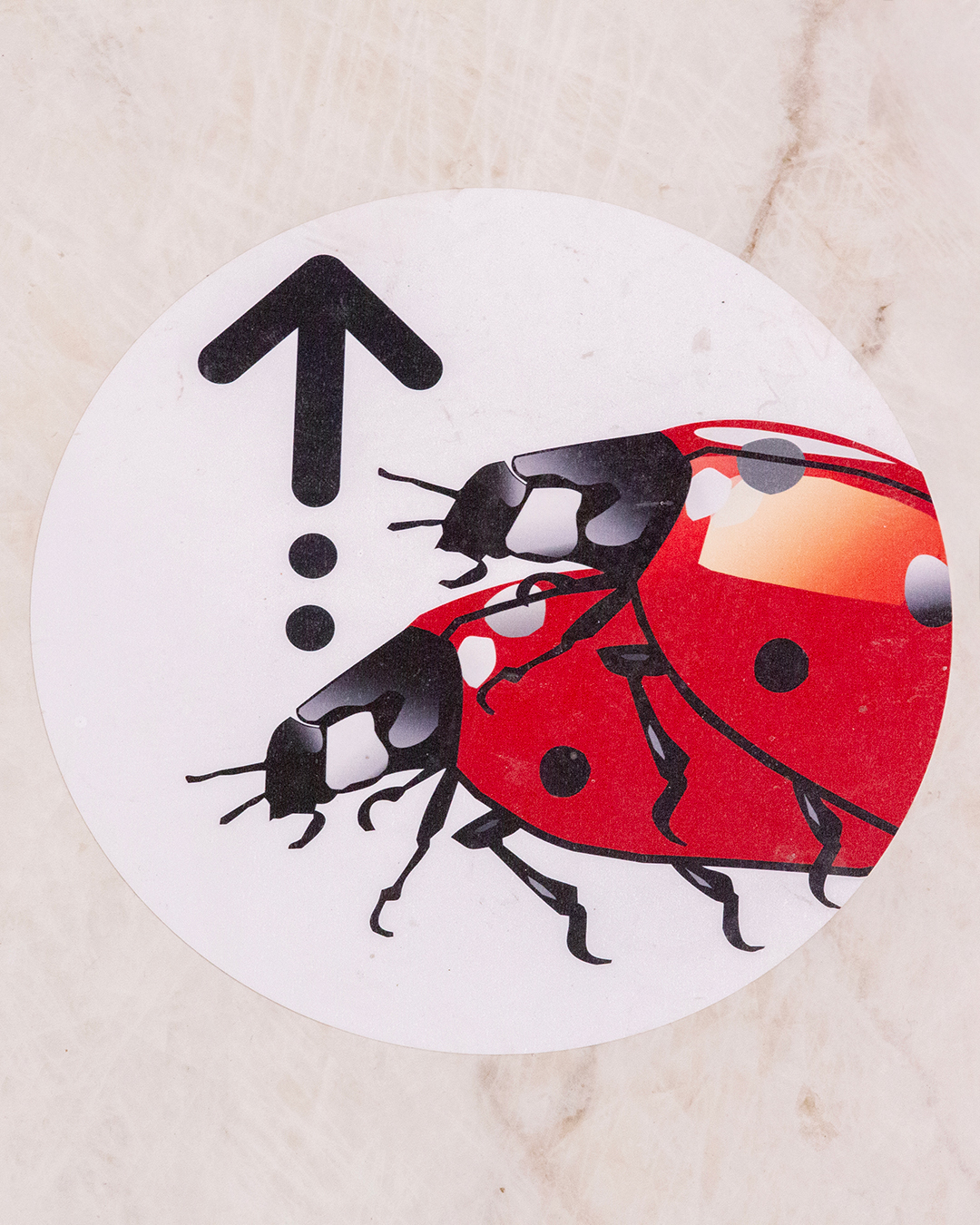 Nauja Fantazijos.lt parduotuvė antrame aukšte